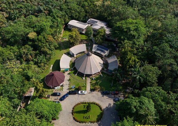 Lekki Conservation Centre: The Green Soul of Lagos Metropolis