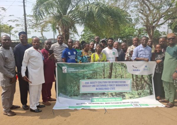 CSOs Unite to Combat Escalating Deforestation in Cross River State 