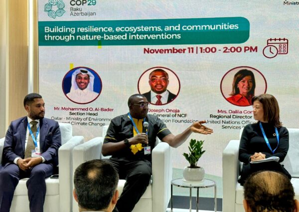 Press Release: NCF Director General, Dr. Joseph Onoja, Advocates for Climate and Biodiversity Finance at COP29