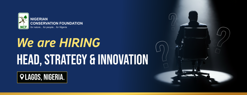 VACANCY FOR THE POSITION OF HEAD, STRATEGY AND INNOVATION