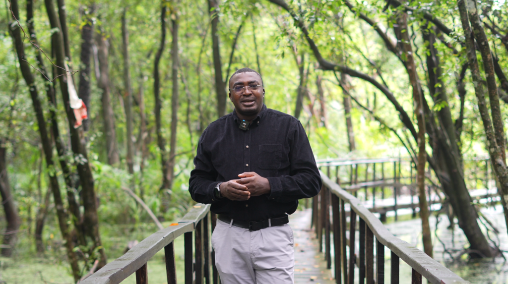 Nigeria Cannot Build Flood Resilience While Destroying Its Wetlands