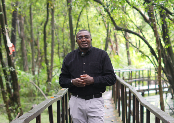 Nigeria Cannot Build Flood Resilience While Destroying Its Wetlands